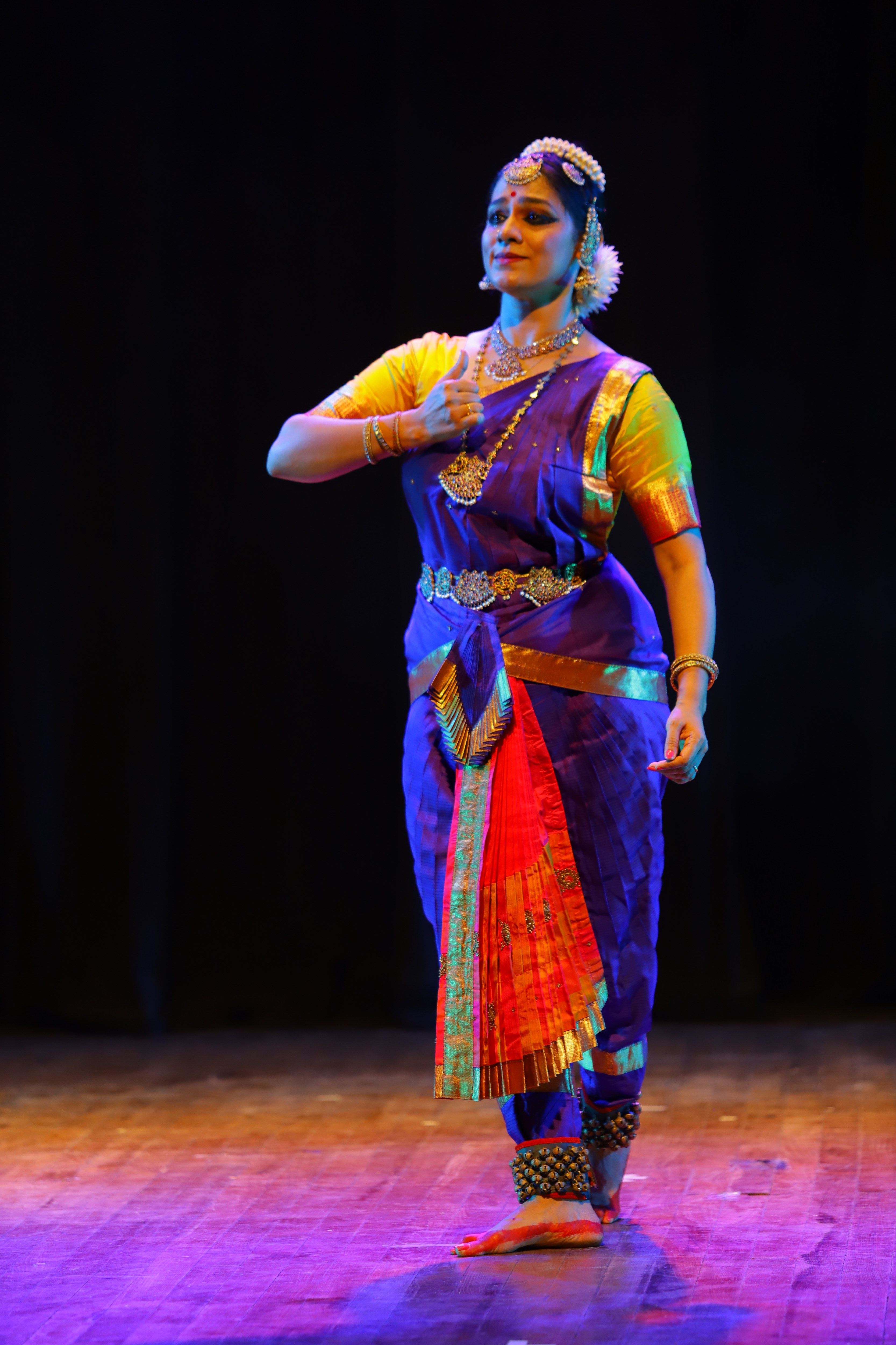 Bharatanatyam visual data 5